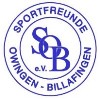 Owingen-Billaf